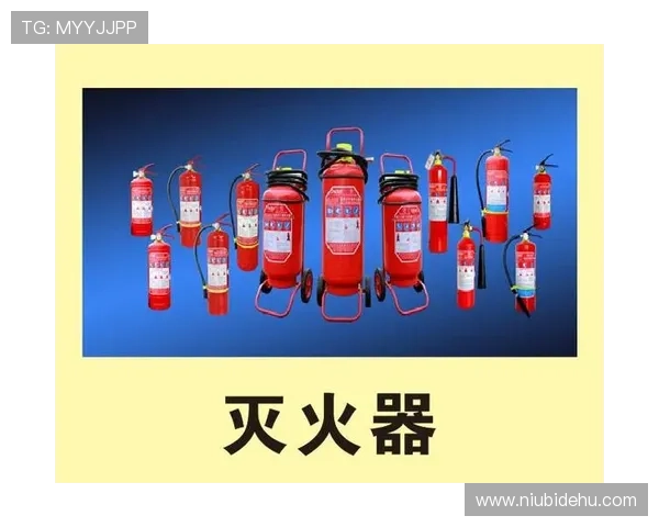 凯发K8.com官方旗舰店：多样化游戏娱乐方案满足不同玩家需求