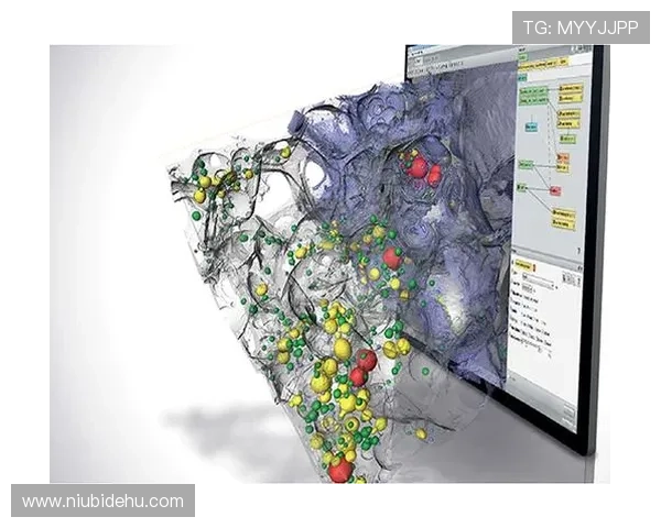 k8天生赢家一触即发:从新手到高手的成长路径与天赋培养建议 k8天生赢家一触即发:从新手到高手的成长路径与天赋培养建议