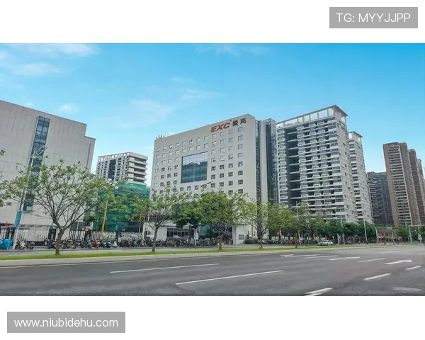 凯发k8入口网提供安全稳定的登录环境保障玩家游戏体验