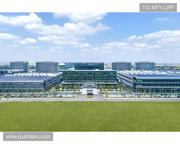 凯发集团地址下载网址官方平台推荐，快速下载安装流程全攻略