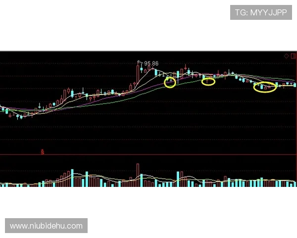 分分快三基本走势分析中的常见误区及避免方法