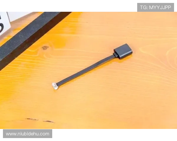 凯发登陆手机：快速登录流程保障您的游戏顺畅