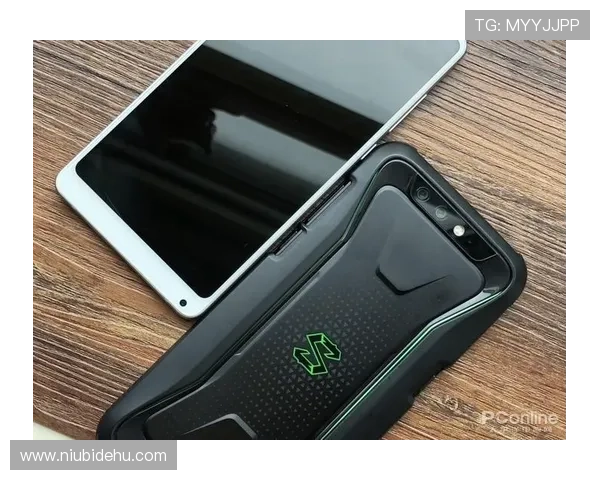 凯发娱乐旗舰厅注册平台最新版本下载，快速安装体验流畅游戏环境