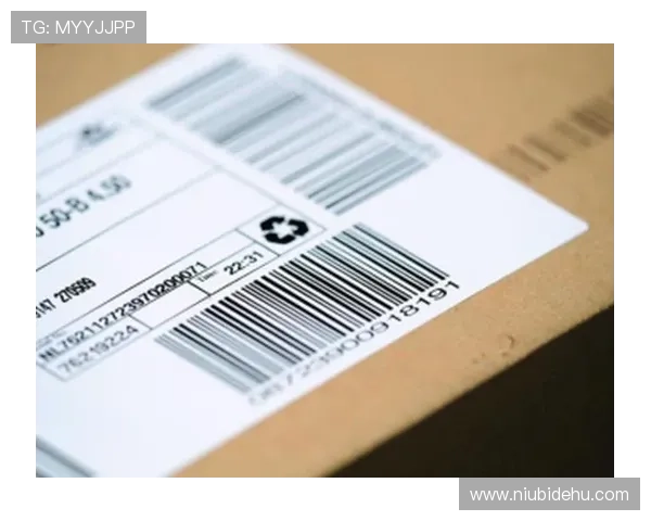 凯发集团官网首页网站用户注册流程及账号安全保障指南 凯发集团官网首页网站用户注册流程及账号安全保障指南